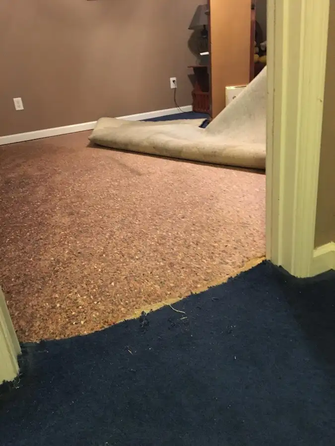 Carpet pad removal revealing water damage during Water Mitigation Services in Meredith